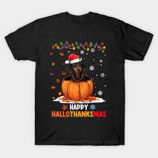 Dachshund On Pumpkin Happy Hallothanksmas T-Shirt